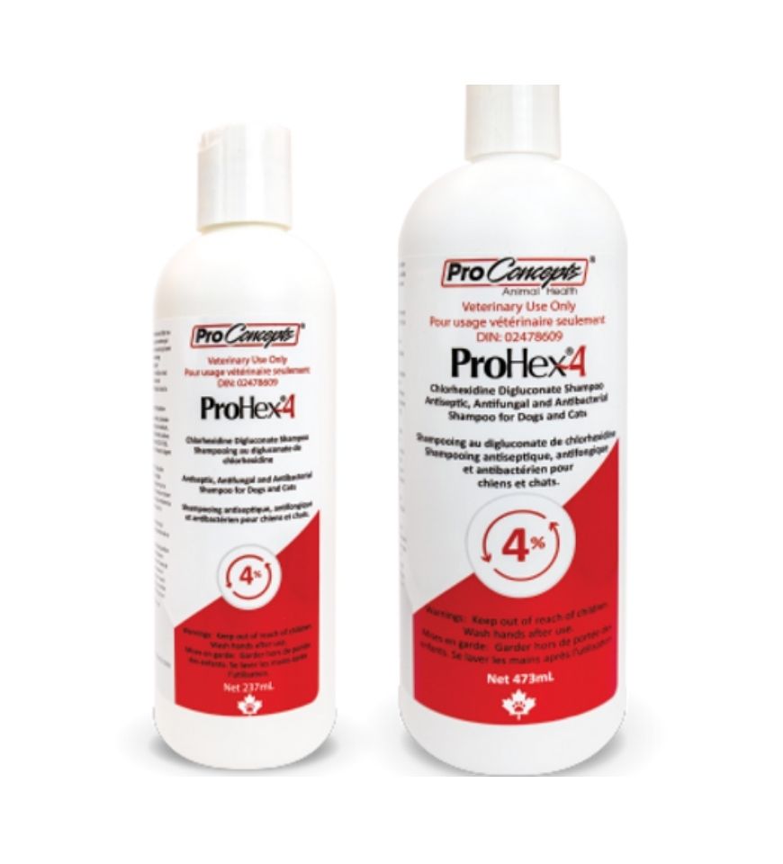 ProHex-4 Shampoo