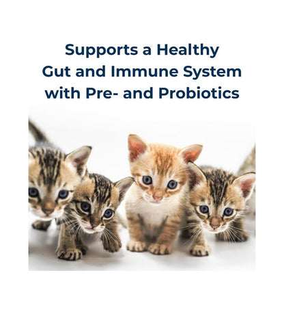 KMR® Kitten Milk Replacer Powder