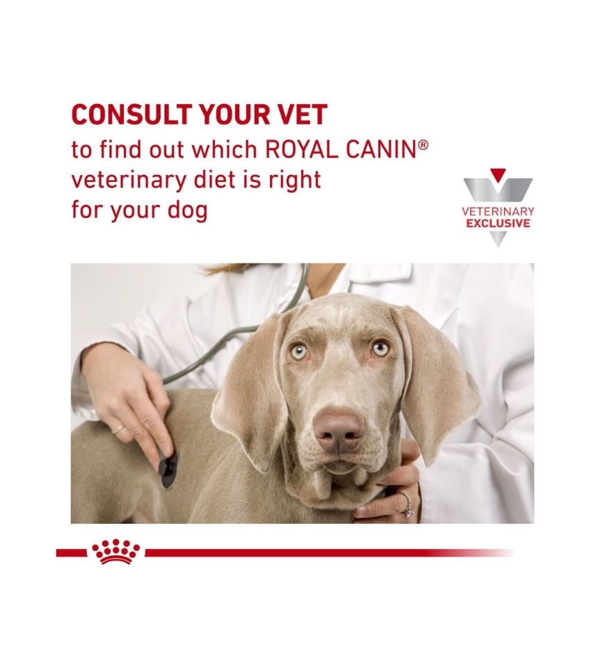 Canine Gastrointestinal Treats