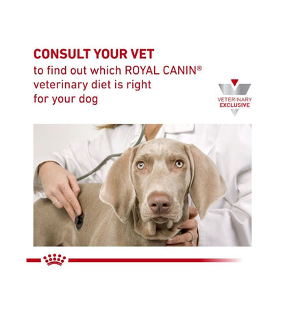 Canine Gastrointestinal Treats