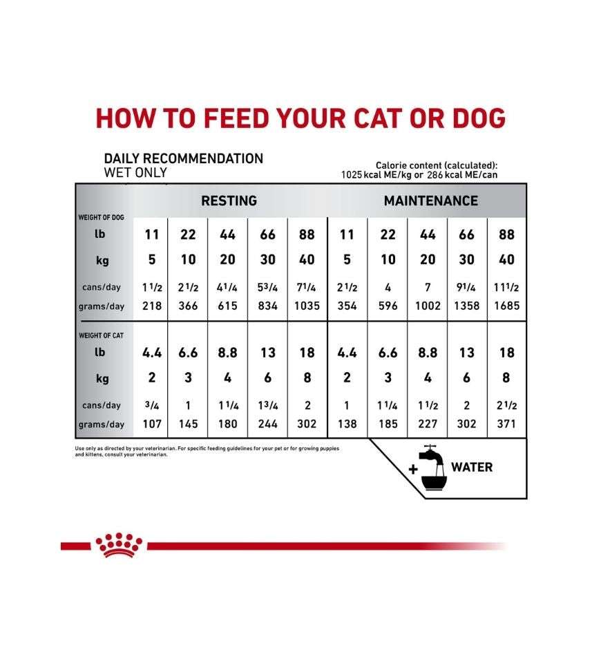 Feline and Canine Recovery Ultra Soft Mousse in Sauce