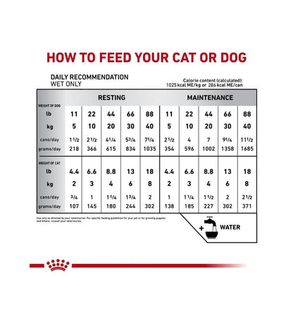 Feline and Canine Recovery Ultra Soft Mousse in Sauce