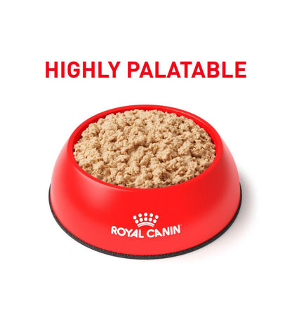 Feline and Canine Recovery Ultra Soft Mousse in Sauce