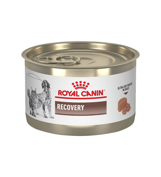 Feline and Canine Recovery Ultra Soft Mousse in Sauce