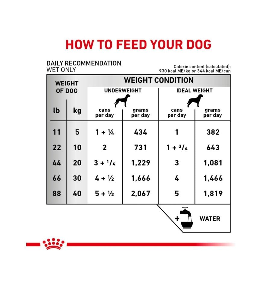 Canine Renal Support D  thin slices in gravy