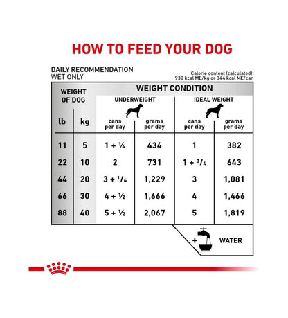 Canine Renal Support D  thin slices in gravy