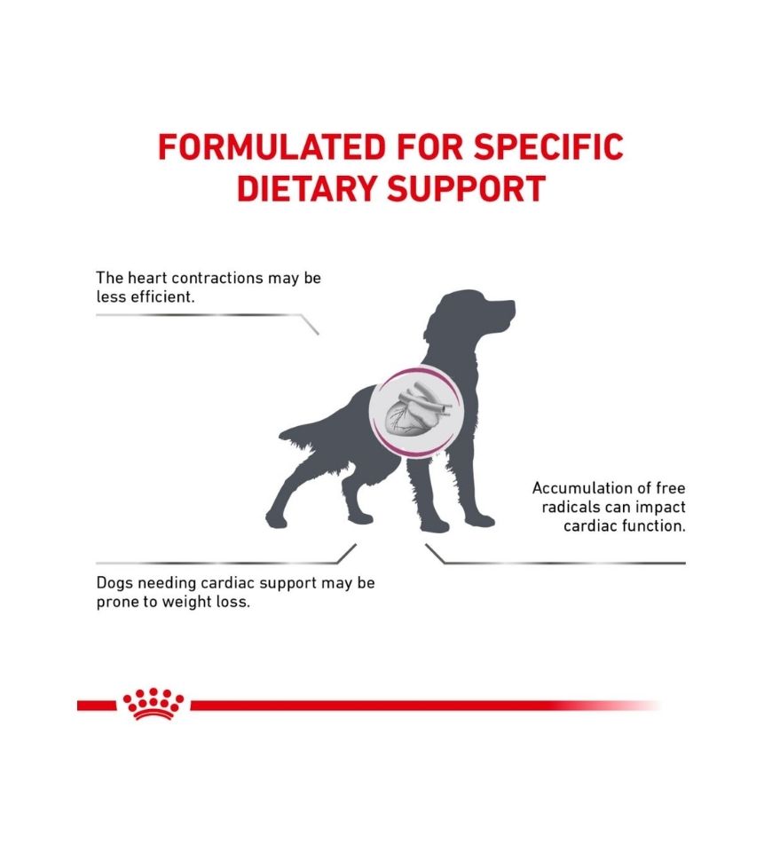 Canine Renal Support D  thin slices in gravy