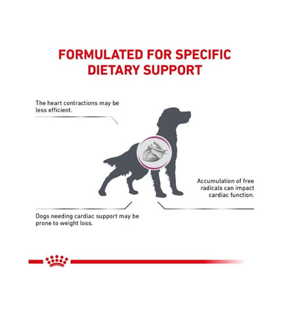 Canine Renal Support D  thin slices in gravy