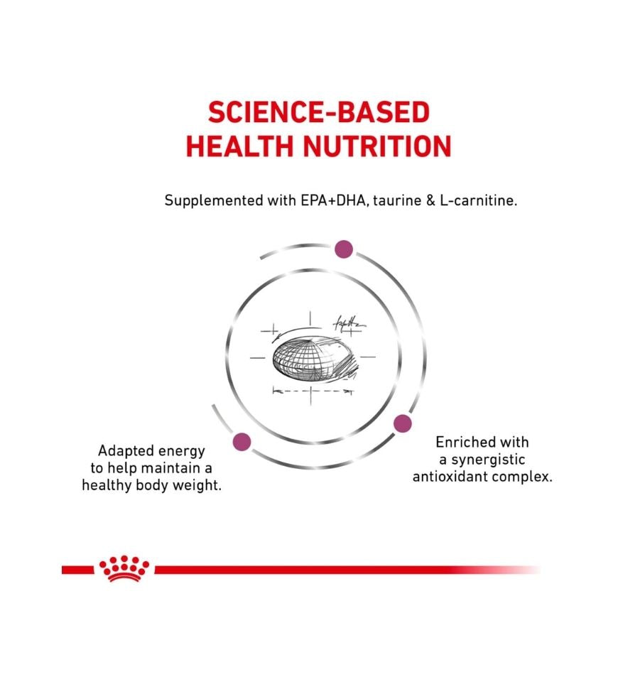 Canine Renal Support D  thin slices in gravy