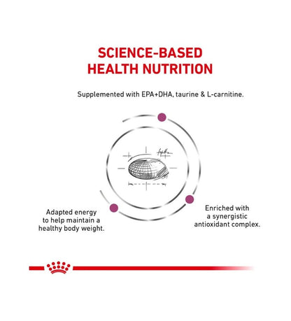 Canine Renal Support D  thin slices in gravy