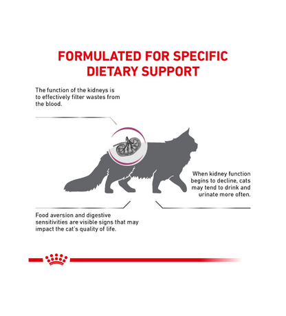 Feline Renal Support S