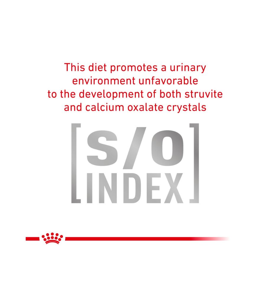 Canine Urinary SO® Loaf