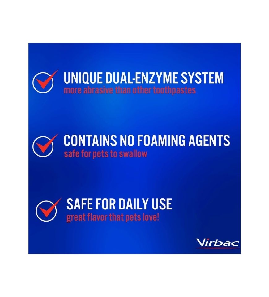 CET Enzymatic Toothpaste