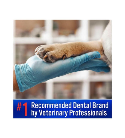 CET Enzymatic Toothpaste